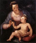 CORNELIS VAN HAARLEM Madonna and Child  vinxg oil painting